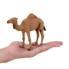 387113_Arabian_Camel_6_500x500