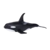 387114_Male_Orca_3_500x500