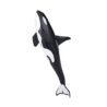 387114_Male_Orca_6_500x500