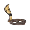 387126_King_Cobra_3_500x500