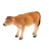 387147_Jersey_Calf_Standing-e1431638544128_500x500