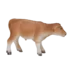 387147_Jersey_Calf_standing_1_500x500