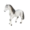 387149_Andalusian_Stallion_Grey_2_500x500