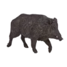 387160_Wild_Boar_3_500x500