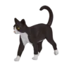 387200_Cat_2_500x500