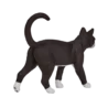 387200_Cat_5_500x500