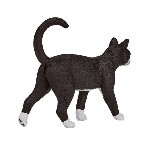 387200_Cat_5_500x500 387200_Cat_5_500x500