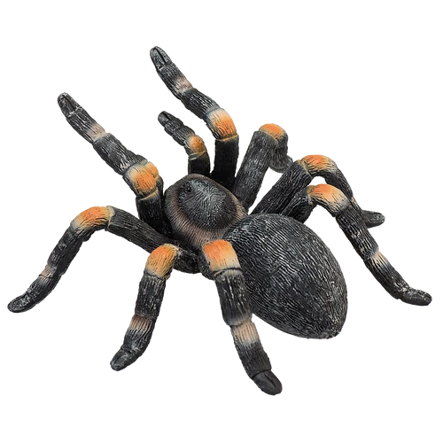 387213_Red_Kneed_Tarantula_5_500x500 387213_Red_Kneed_Tarantula_5_500x500