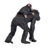 387264_Chimpanzee_and_Baby_5_500x500