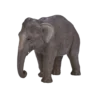 387266_Asian_Elephant_2_500x500