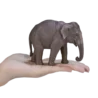 387266_Asian_Elephant_6_500x500
