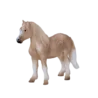 387282_Welsh_Pony_2_500x500