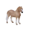 387282_Welsh_Pony_4_500x500