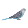 387292_Budgerigar_Blue_4_500x500