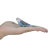 387292_Budgerigar_Blue_6_500x500