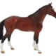 387294_Dutch_Warmblood_500x500