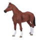 387294_Dutch_Warmblood___Portugal__4_500x500