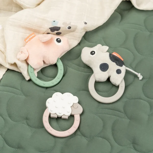 Sensory-rattle-wandteether-Pigee-Colour-mix-3 Sensory-rattle-wandteether-Pigee-Colour-mix-3
