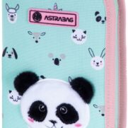uchenicheski-neseser-astra-panda-1-tsip-30-1777870730-MsuzrP
