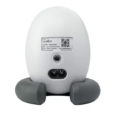 106606_1770168640