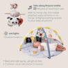 13495 - Fantasy Bloom Gym amazon 2000x2000 20241110