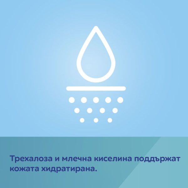 113038_1770179861 113038_1770179861