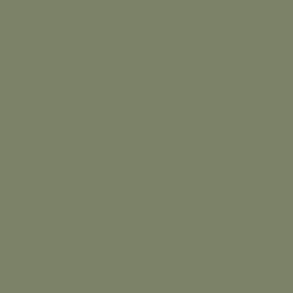 130070_1770223741 130070_1770223741