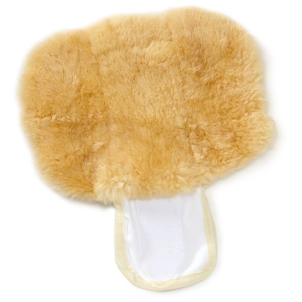 138681_1770242370 138681_1770242370