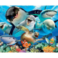 27034_1770058257