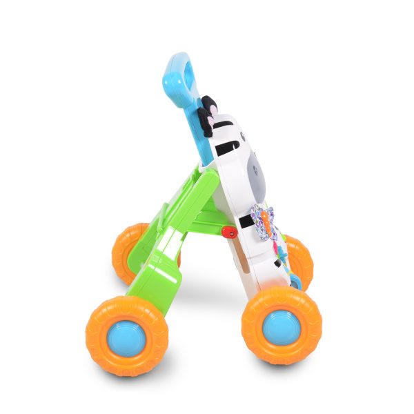 38791_1770069603 38791_1770069603