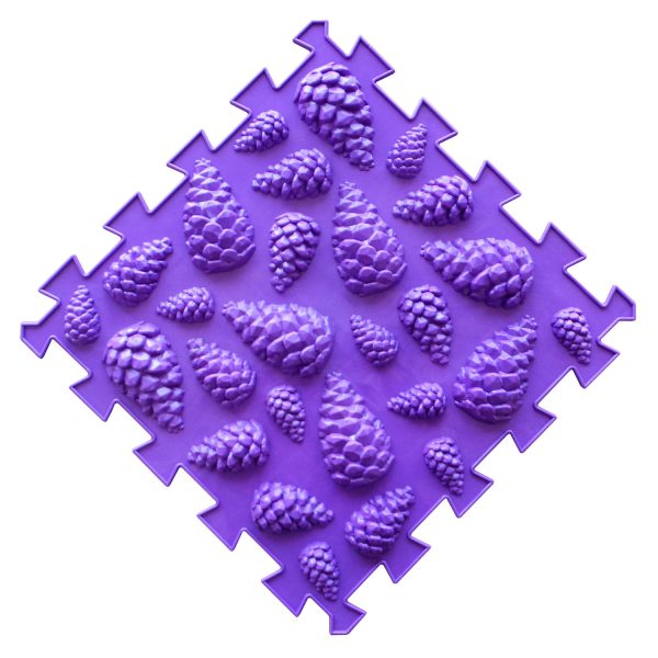44111_1770074527 44111_1770074527