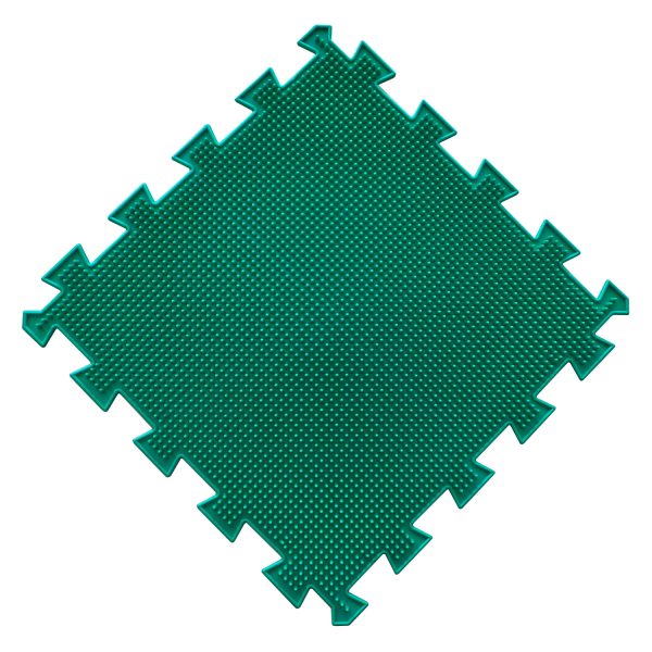 44113_1770074531 44113_1770074531