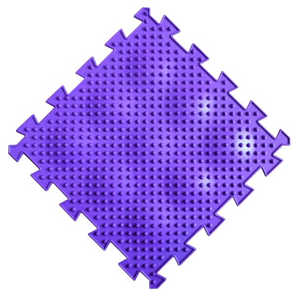 44118_1770074539