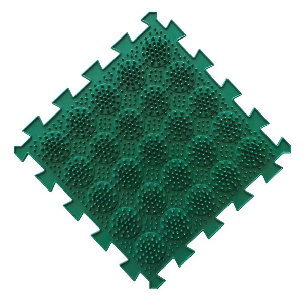 44119_1770074541