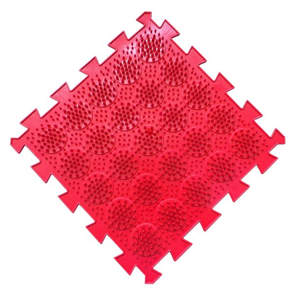 44120_1770074543