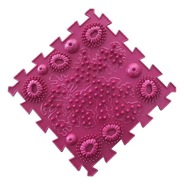 44137_1770074566 44137_1770074566