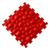 44151_1770074582