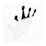 45077_1770075529