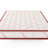 5005_1770042502