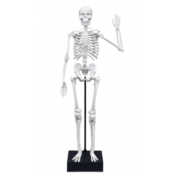 64407_1770093521 64407_1770093521