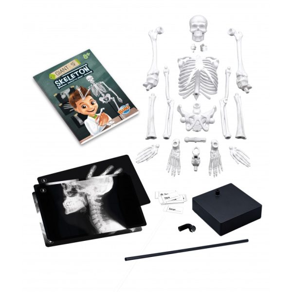 64409_1770093524 64409_1770093524