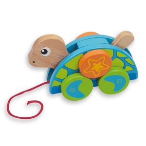 Костенурка за дърпане Andreu toys