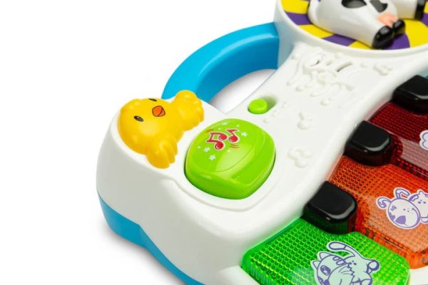 80995_1770117931 80995_1770117931