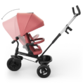 aston2-pink-3-1773686243-iGE43E
