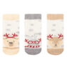 babysocks_polarchristmas_2-3y_2_31110020120_web-1774515423-z6nEQY