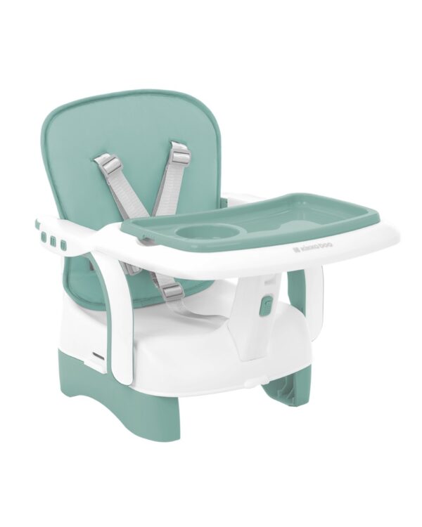 chewy_mint_31004010158_1-1774518475-nck8SN