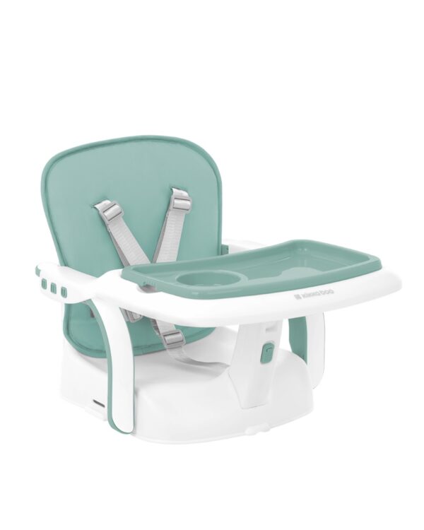 chewy_mint_31004010158_2-1774518478-qOPswY chewy_mint_31004010158_2-1774518478-qOPswY