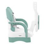 chewy_mint_31004010158_5-1774518486-gpiLxu