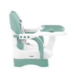 chewy_mint_31004010158_6-1774518483-eaGl4M