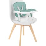 chewy_mint_31004010158_7-1774518492-WokFUT
